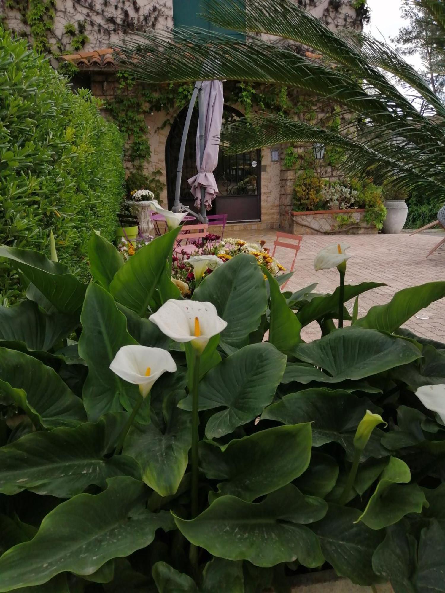 גראס Auberge Les Aromes מראה חיצוני תמונה